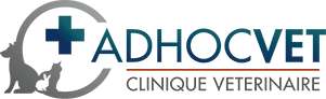 Logo AdHocVet