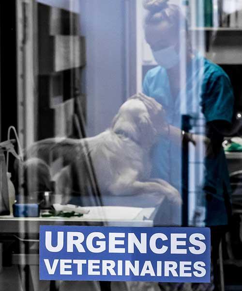 Les urgences